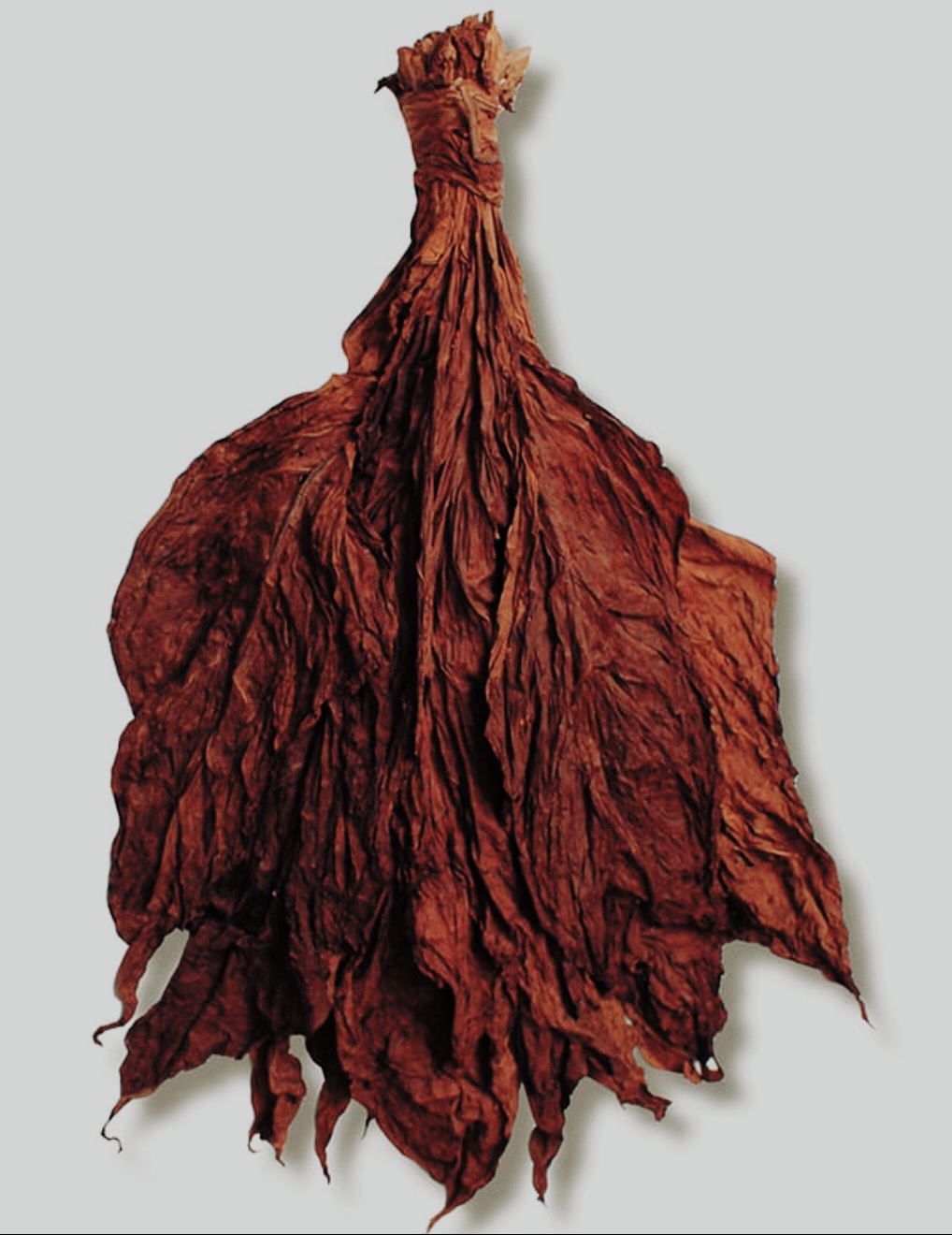 Red Herring Grabba