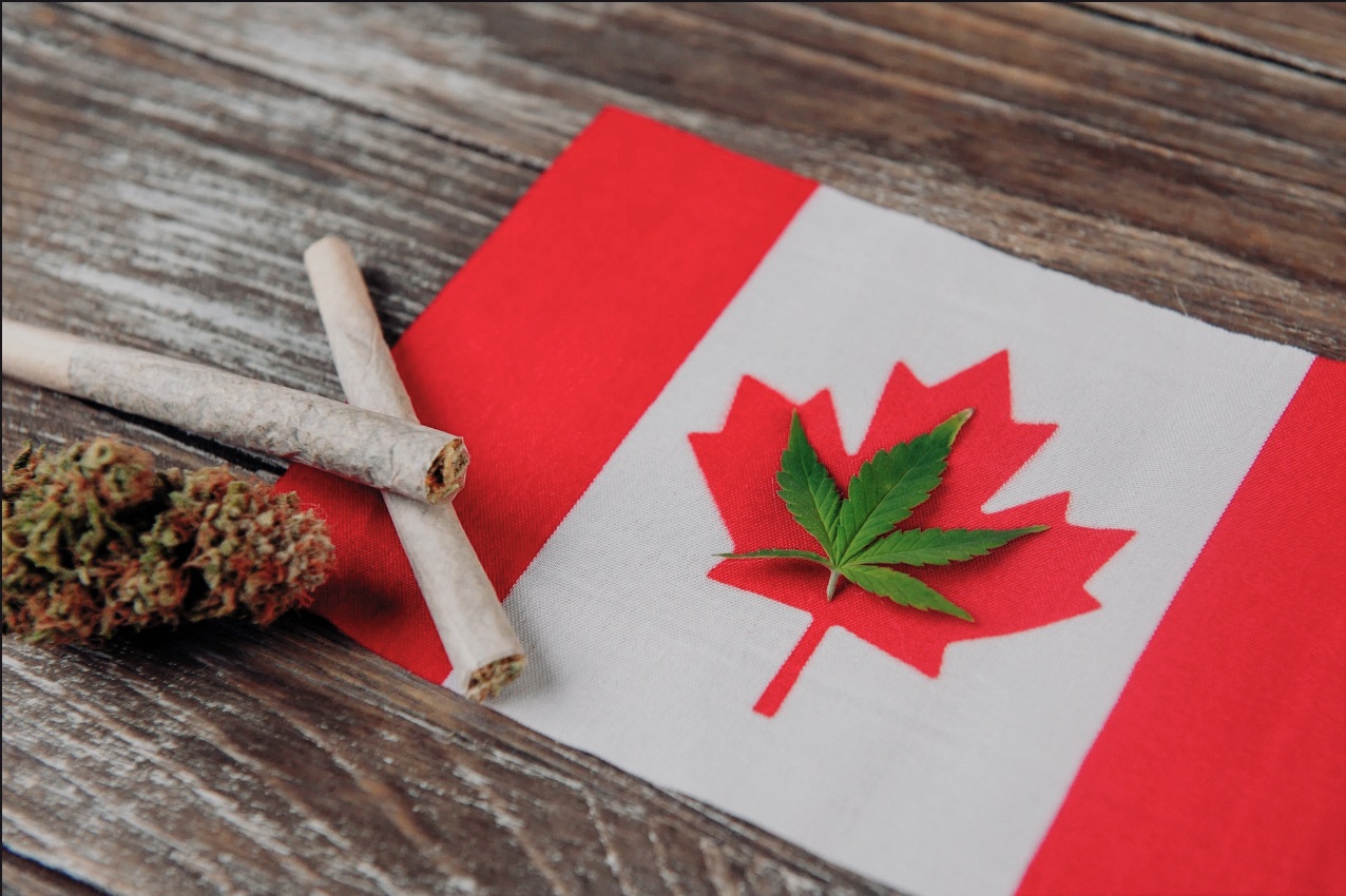 Decriminalized Canabis In Canada