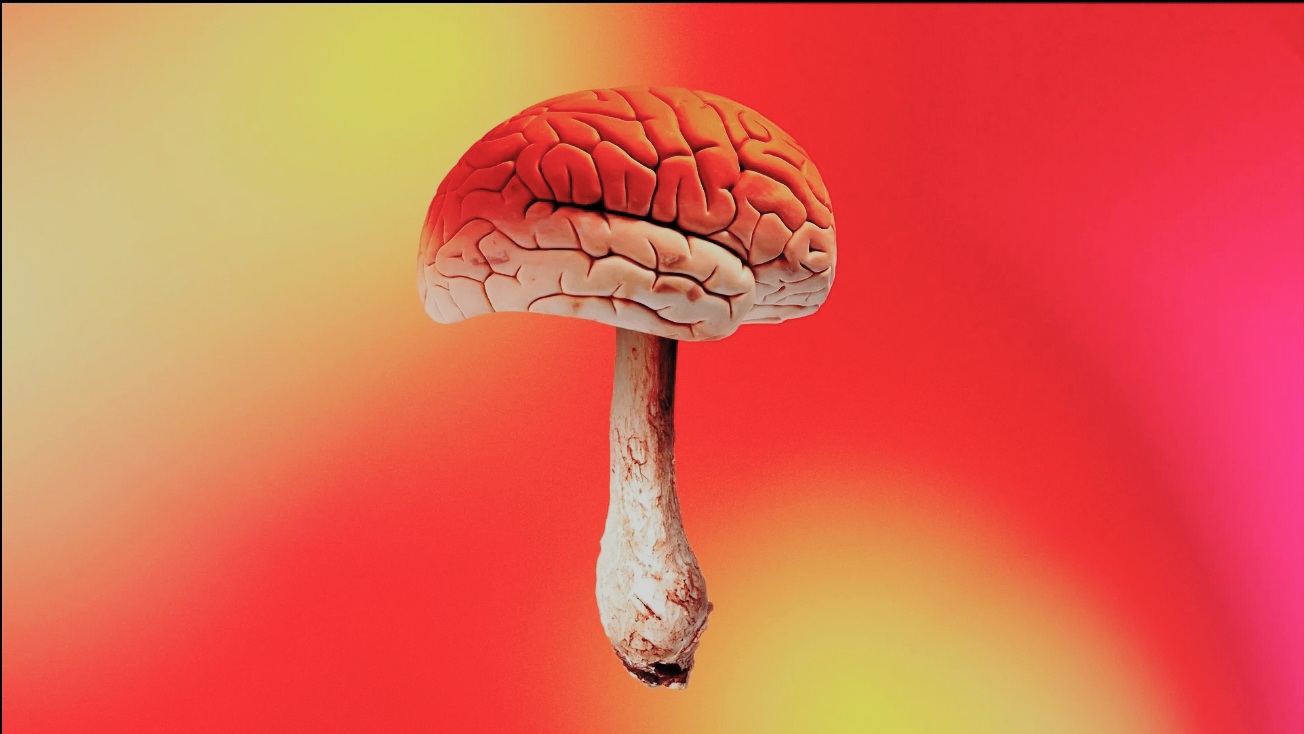 Is Experiencing Intense Emotions During a Psilocybin Trip Normal?