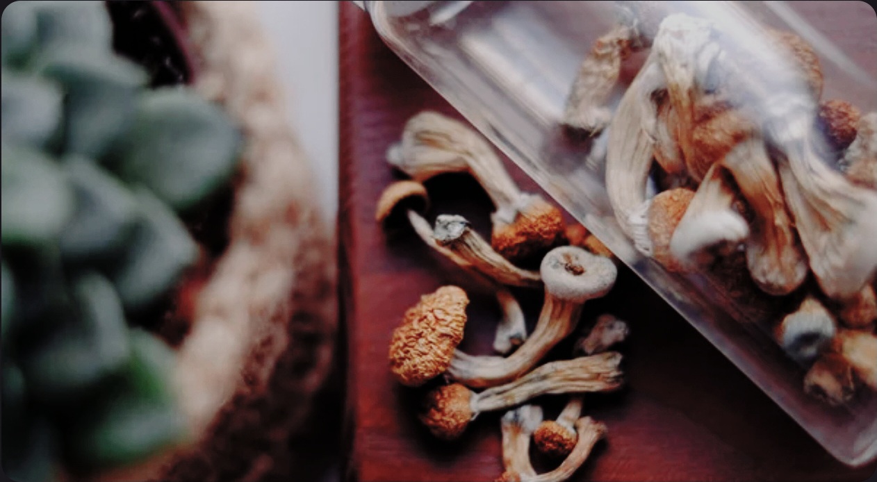 What Should I Do If I Feel Overwhelmed During the Psilocybin Experience?